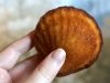 Savour Sweet Simplicity: Online Shop Freshly Made Madeleines